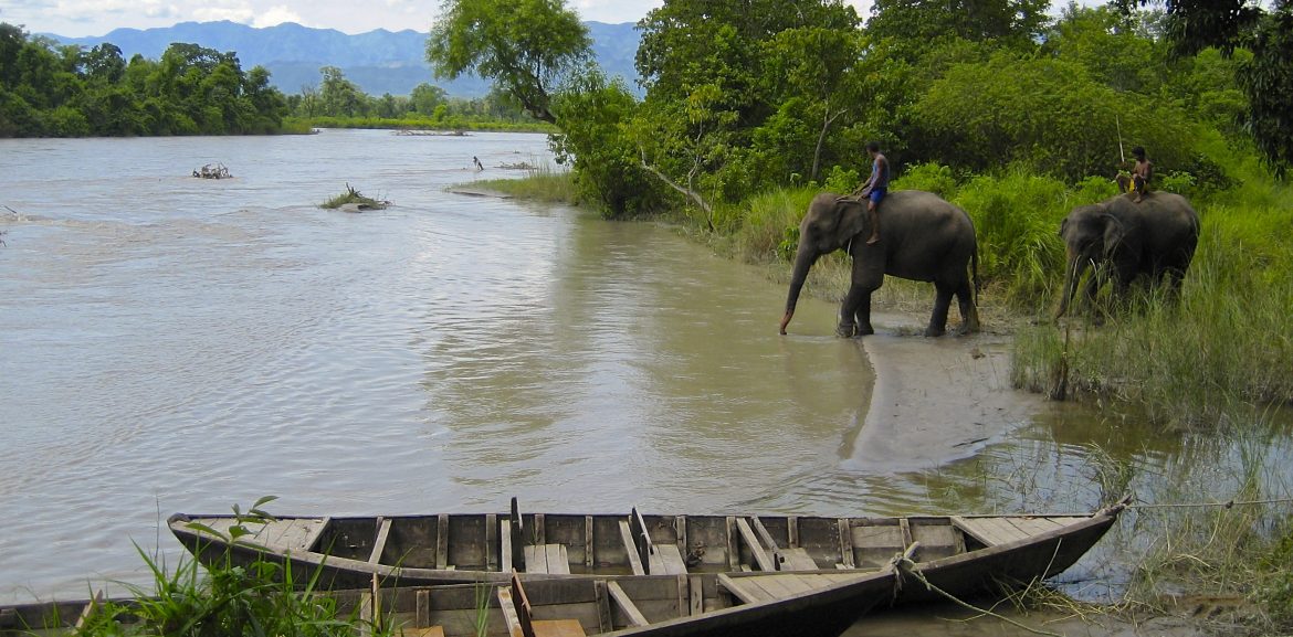 Chitwan National Park