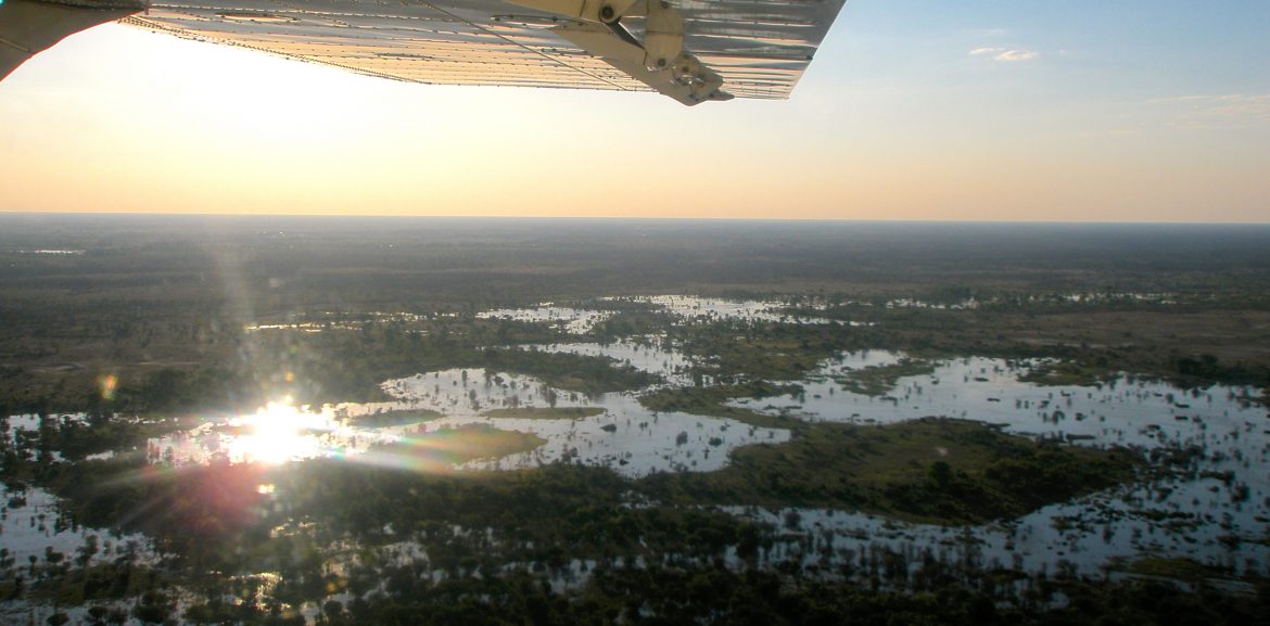 A Bird’s Eye View of the Okavango Delta